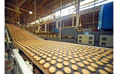 Perito de Maquinaria Industria Alimentaria